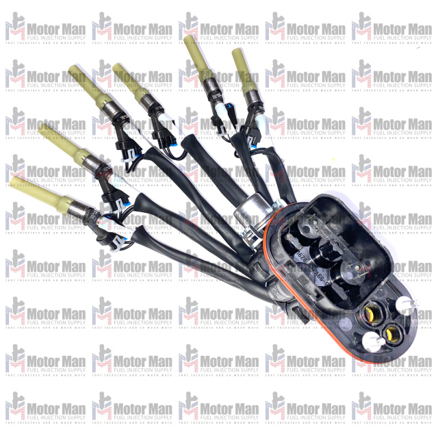 New England Injectors Chevy Vortec Spider Injection Rebuild Kit – 4.3L V6, O-Rings, Seals, Poppets, Lifetime Warranty
